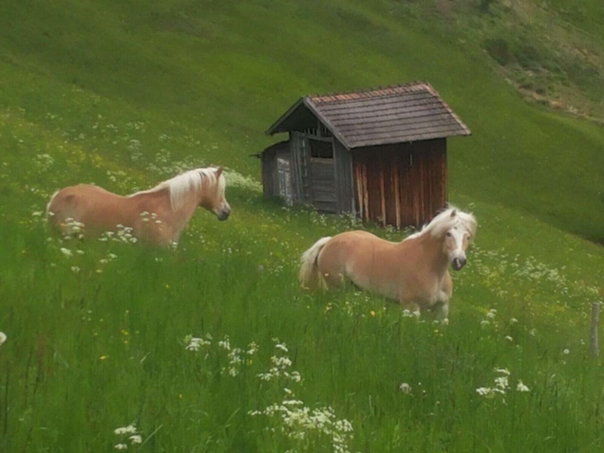 apart.pitztal Arzl im Pitztal Kültér fotó