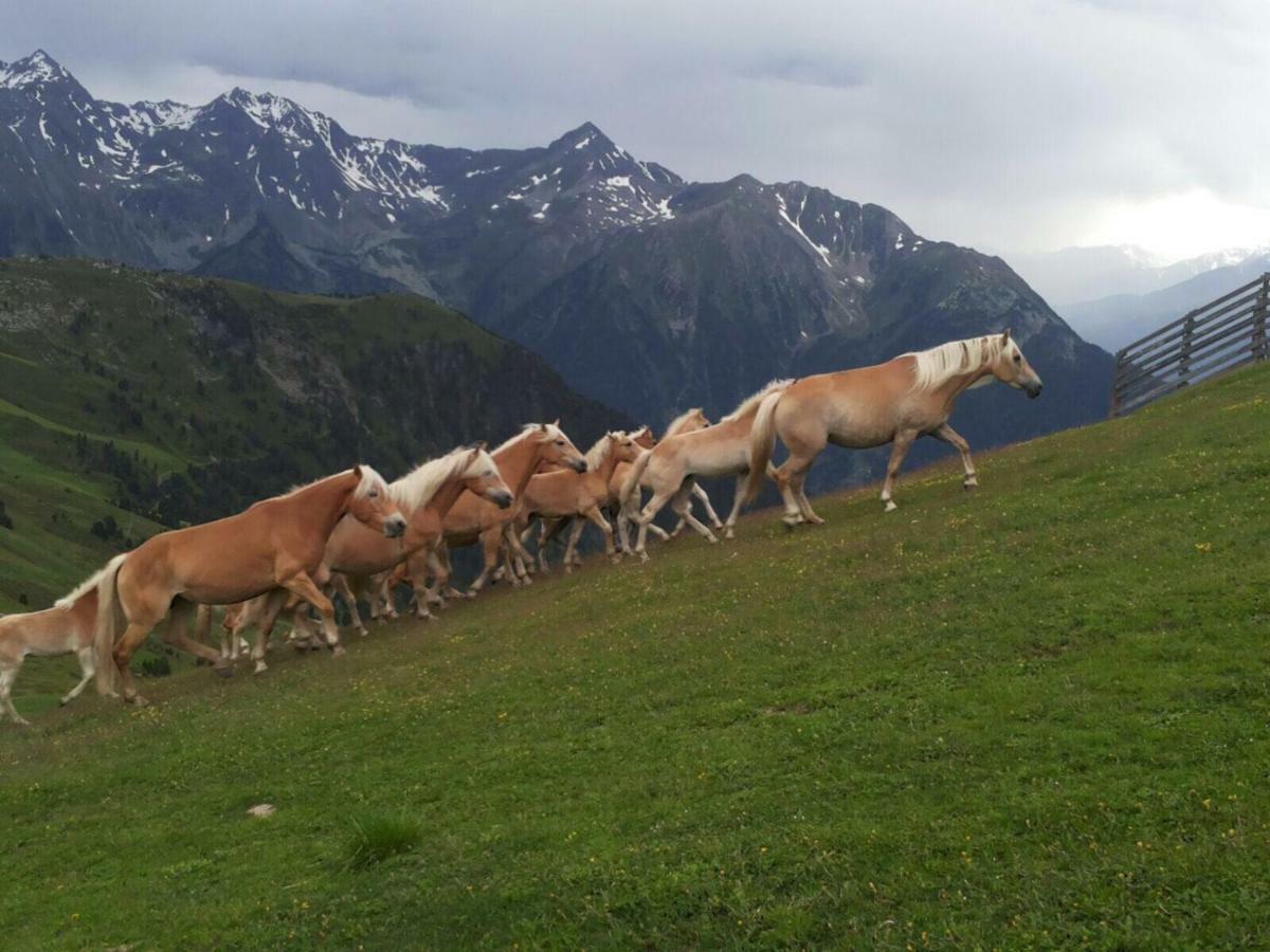 apart.pitztal Arzl im Pitztal Kültér fotó