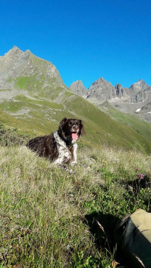 apart.pitztal Arzl im Pitztal Kültér fotó